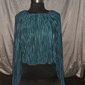 1.4.3. Story by Line Up Teal Pleated Long-Sleeve Blouson Top